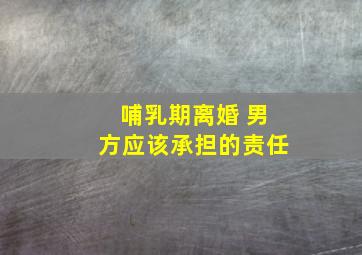 哺乳期离婚 男方应该承担的责任